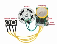 Soundmodul 2xTaster (FN-G2450)